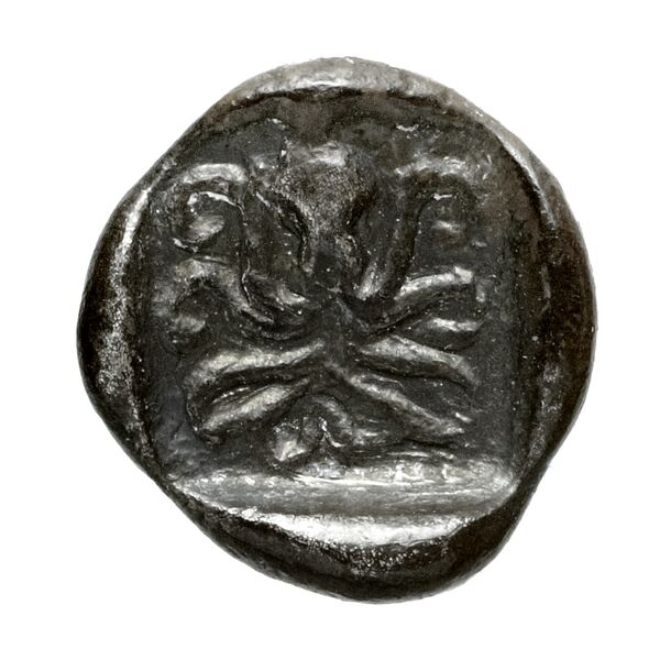 Eretria Babelon 1907 1080-1083, реверс, BnF (IRIS)