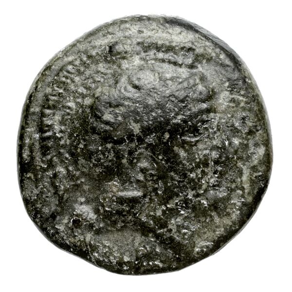 obverse Pharsalus Lavva 2001 B. II.6