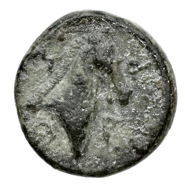 реверс Pharsalus Lavva 2001 B. II.6