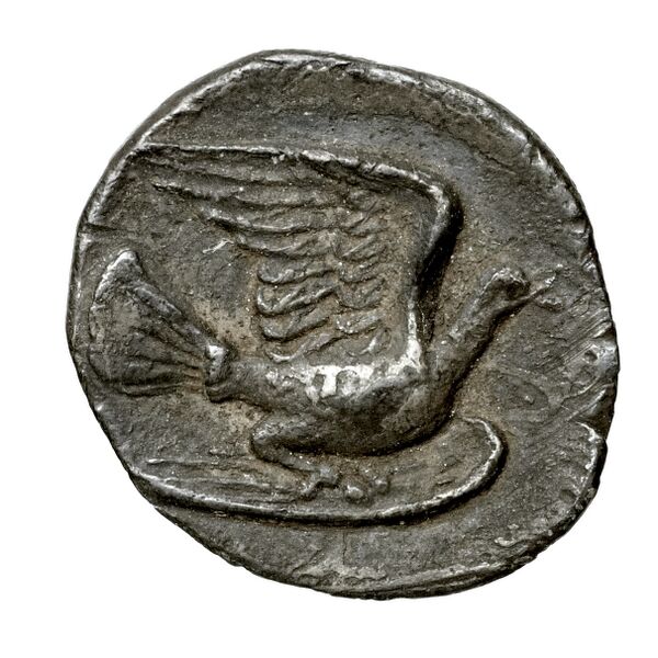Sicyon BMC Sicyon 125-34, реверс, bnf-iris