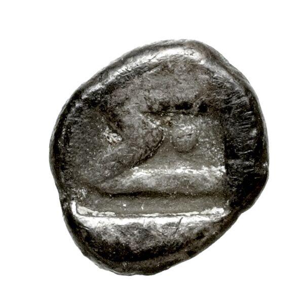 Sicyon BMC Sicyon 18, реверс, bnf-iris