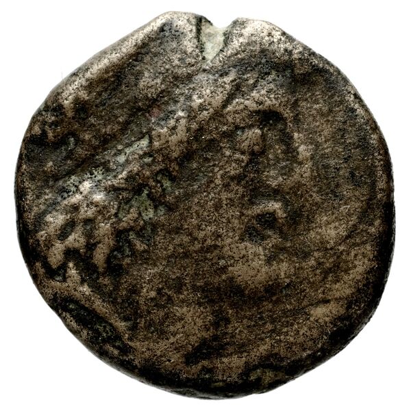 Aretas III of Nabataea Damascus Barkay 2019 7, аверс, bnf-iris