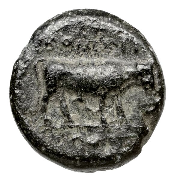 Boeone Babelon 1910 2072, реверс, bnf-iris