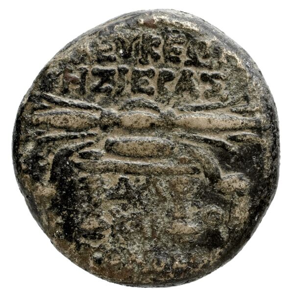 Seleuceia Pieria Butcher 2004 Autonomous coinage a, реверс, bnf-iris