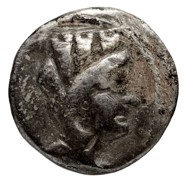 Seleuceia Pieria BMC Seleuceia in Pieria 24, аверс, bnf-iris