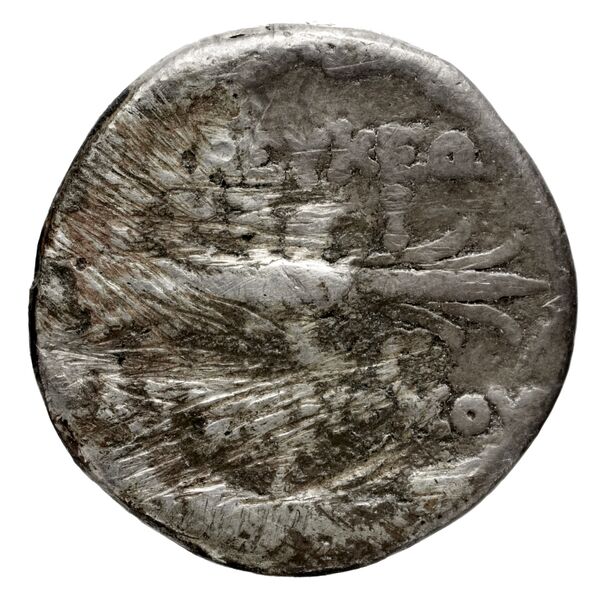 Seleuceia Pieria BMC Seleuceia in Pieria 24, реверс, bnf-iris