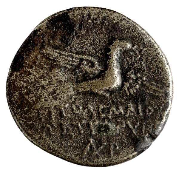 Ptolemy of Chalcis Chalcis sub Libano Herman 2006 7, реверс, BnF (IRIS)