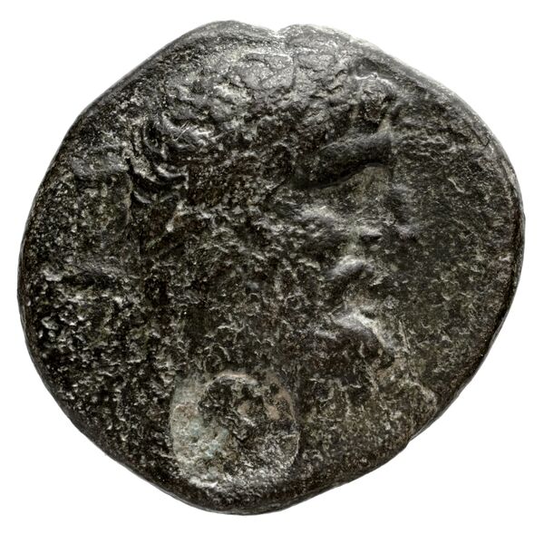 Ptolemy of Chalcis Chalcis sub Libano Herman 2006 7, аверс, BnF (IRIS)
