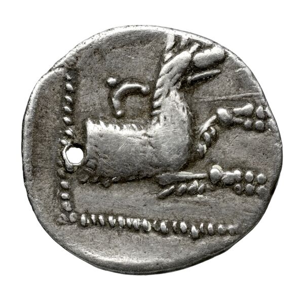 Cilicia SNG Levante 223, реверс, bnf-iris