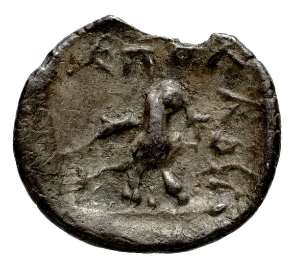 Stratoniceia Meadows 2002 Group 3 hemidrachm, реверс, bnf-iris