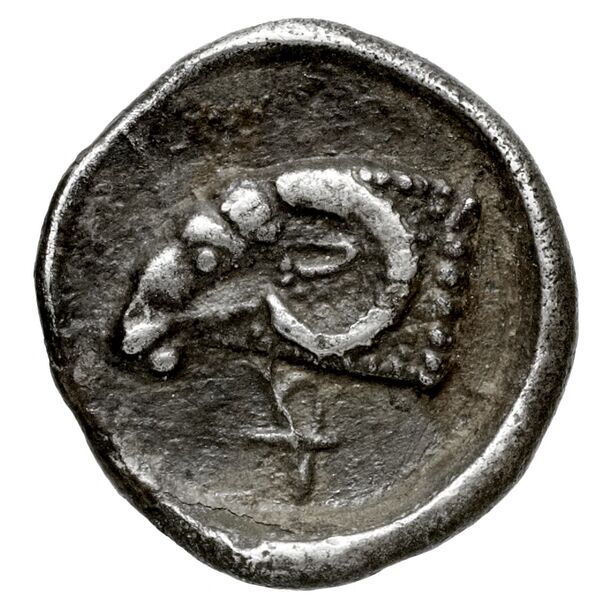 реверс Salamis BMC Salamis 37