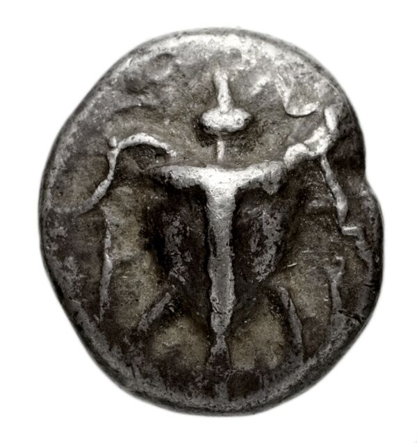 Aegina Meadows and Askari, forthcoming 1a, аверс, bnf-iris