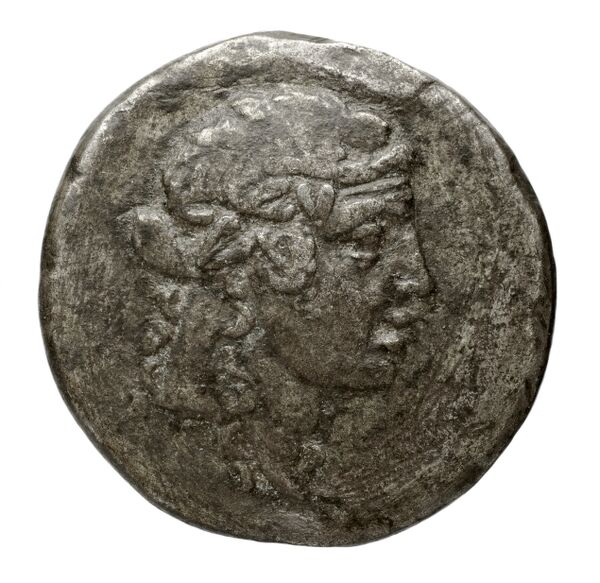 obverse Gorgippia MacDonald 2005 177