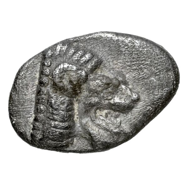 Mithrapata Lycia Mildenberg 1965 A.1-6, аверс, bnf-iris