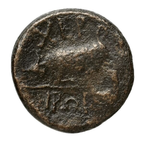 реверс Chersonesus, Tauric Anokhin 2011 782-3