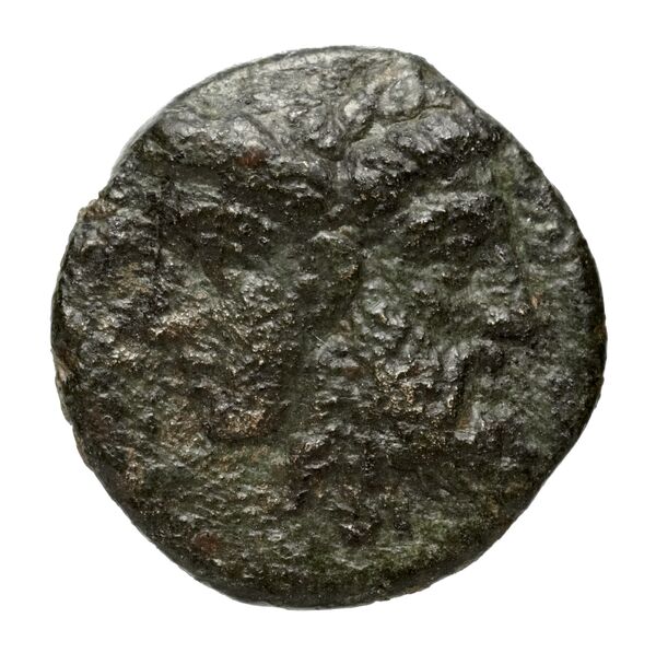аверс Chersonesus, Tauric Anokhin 2011 664-6