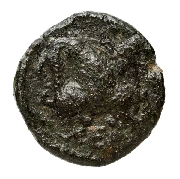 реверс Chersonesus, Tauric Anokhin 2011 664-6