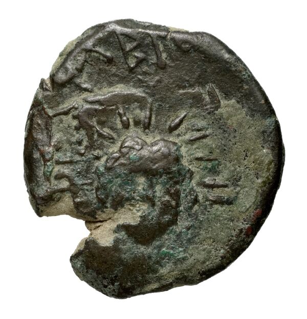 Olbia Anokhin 2011 449, аверс, BnF (IRIS)