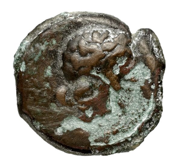 Olbia Anokhin 2011 500, аверс, BnF (IRIS)