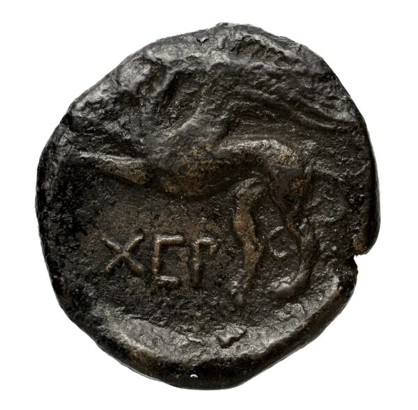 Chersonesus, Tauric Anokhin 2011 685-99, аверс, bnf-iris