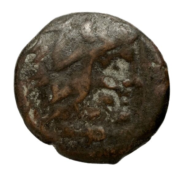 Olbia Anokhin 2011 495; 499, BnF (IRIS)