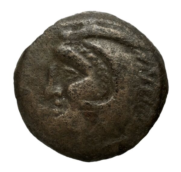 Olbia Anokhin 2011 433-8, аверс, BnF (IRIS)