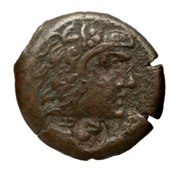 Olbia Anokhin 2011 495; 499, аверс, BnF (IRIS)
