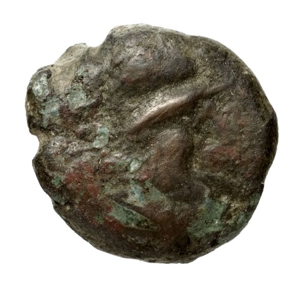 Olbia Anokhin 2011 490-2, BnF (IRIS)
