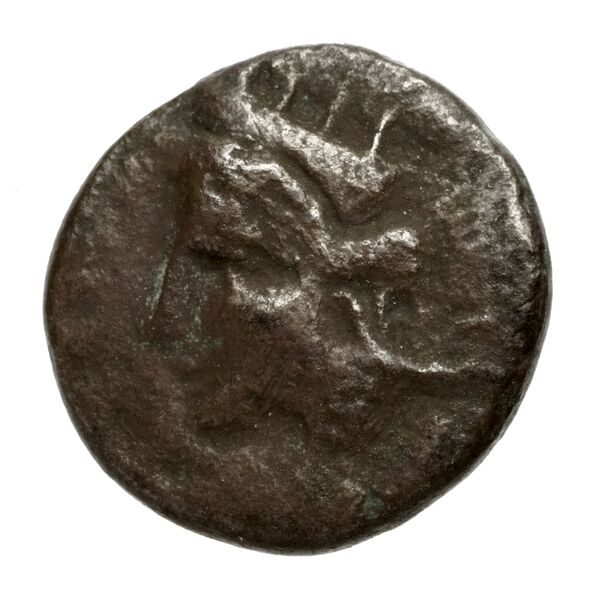 Olbia Anokhin 2011 222-32, аверс, BnF (IRIS)