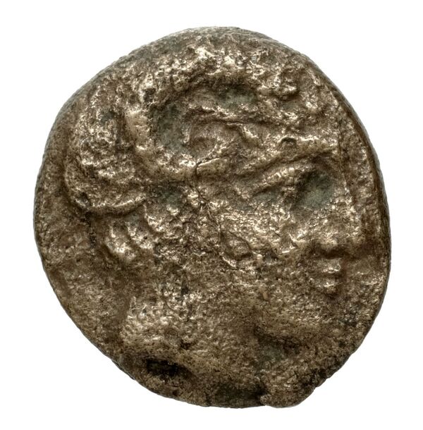 Aphytis AMNG III.2 13, аверс, bnf-iris