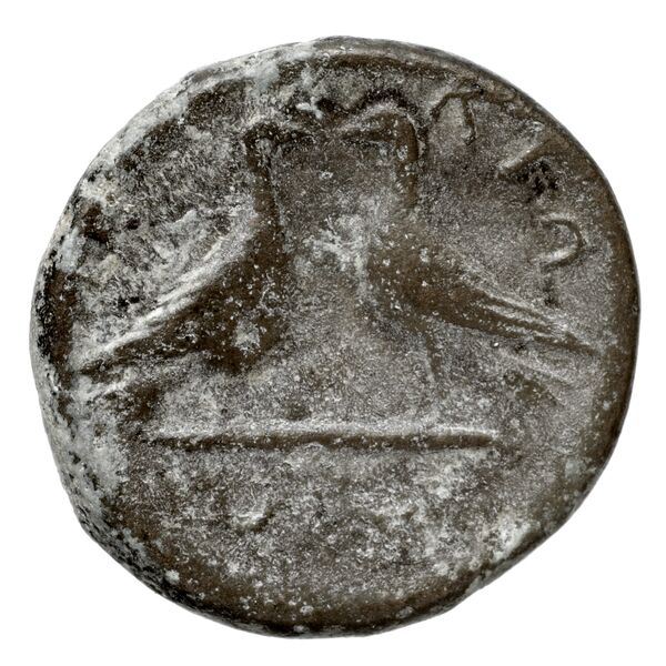 Scione AMNG III.2 10-13, реверс, bnf-iris