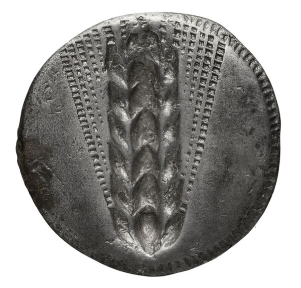 реверс Metapontum Historia Numorum Italy 1459