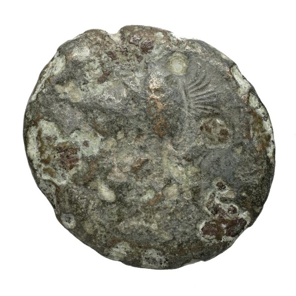 Cales Historia Numorum Italy 435, аверс, bnf-iris
