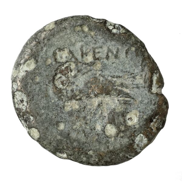 Cales Historia Numorum Italy 435, реверс, bnf-iris