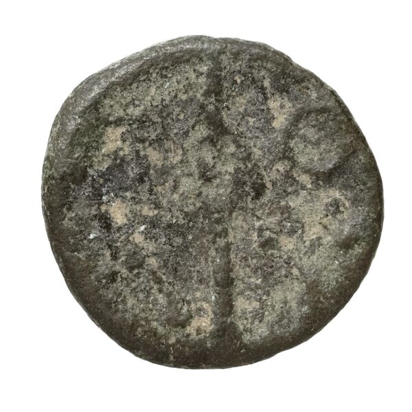 Polyrhenium Stefanakis 2013 58-101, реверс, bnf-iris