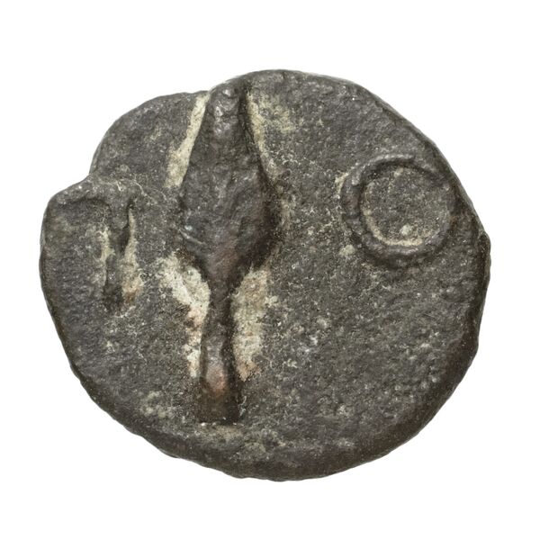 Polyrhenium Stefanakis 2013 58-101, реверс, bnf-iris