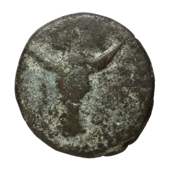 Polyrhenium Stefanakis 2013 39-42, аверс, bnf-iris