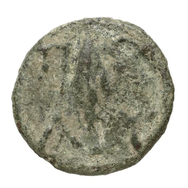 Polyrhenium Stefanakis 2013 39-42, реверс, bnf-iris