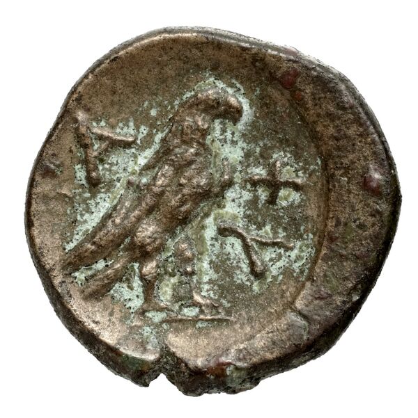 реверс Aphytis SNG ANS Macedonia 218