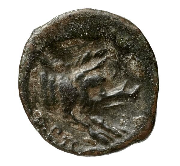 реверс Arpi Historia Numorum Italy 643