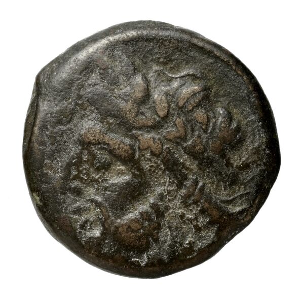 Salapia Historia Numorum Italy 690, аверс, BnF (IRIS)
