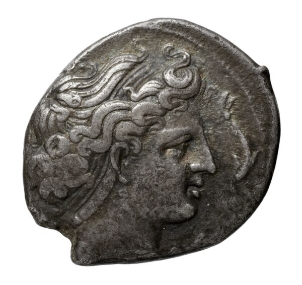 Neapolis Historia Numorum Italy 576, аверс, bnf-iris