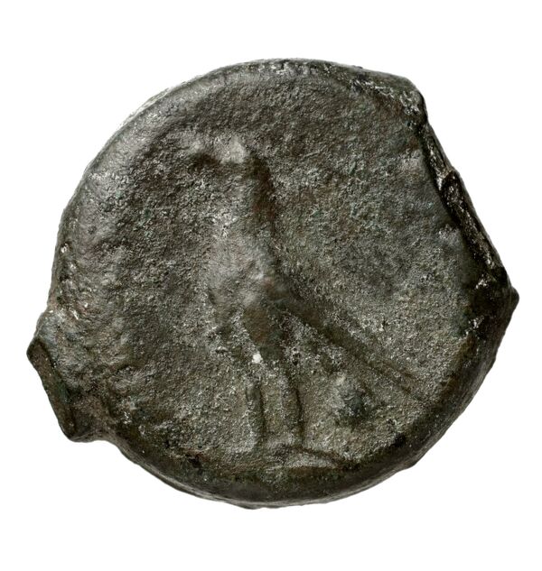Locri Epizephyrii Historia Numorum Italy 2352, реверс, BnF (IRIS)