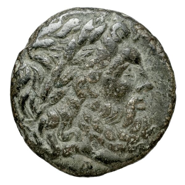 Oeniadae BMC Oeniadae 6-14, аверс, BnF (IRIS)