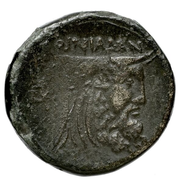 Oeniadae BMC Oeniadae 6-14, реверс, BnF (IRIS)