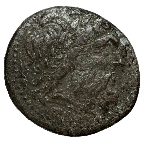 Oeniadae BMC Oeniadae 6-14, аверс, BnF (IRIS)