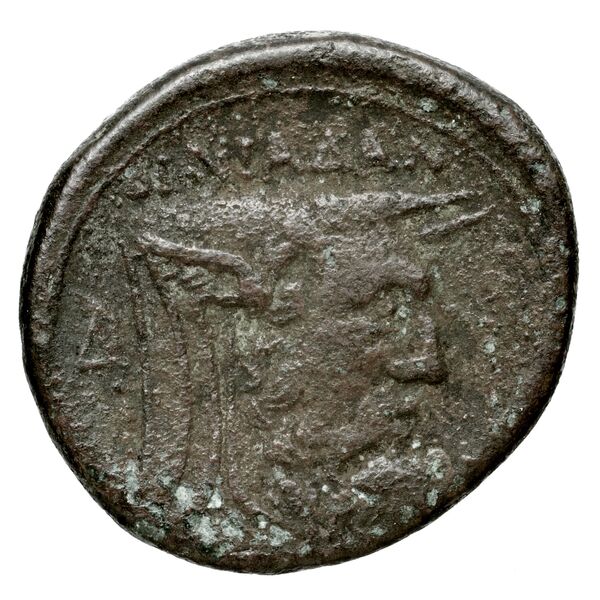 Oeniadae BMC Oeniadae 6-14, реверс, BnF (IRIS)