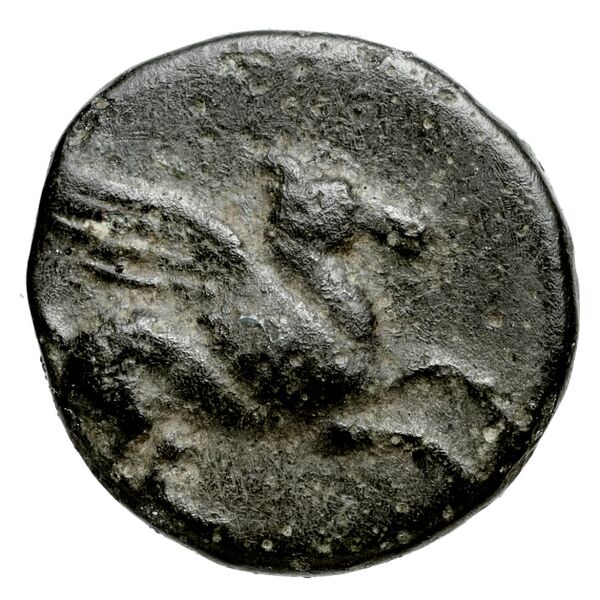 Leucas BMC Leucas 54-63, аверс, bnf-iris