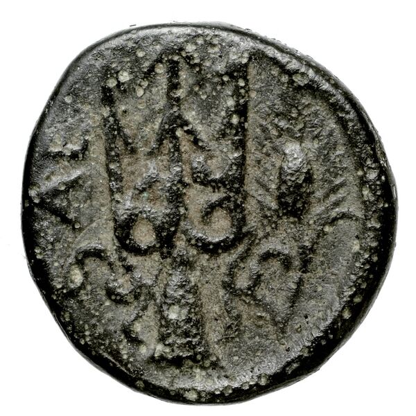 Leucas BMC Leucas 54-63, реверс, bnf-iris