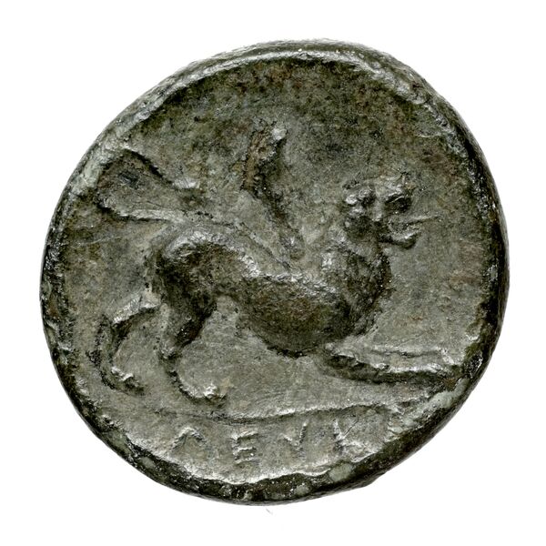 Leucas BMC Leucas 32-53, реверс, bnf-iris